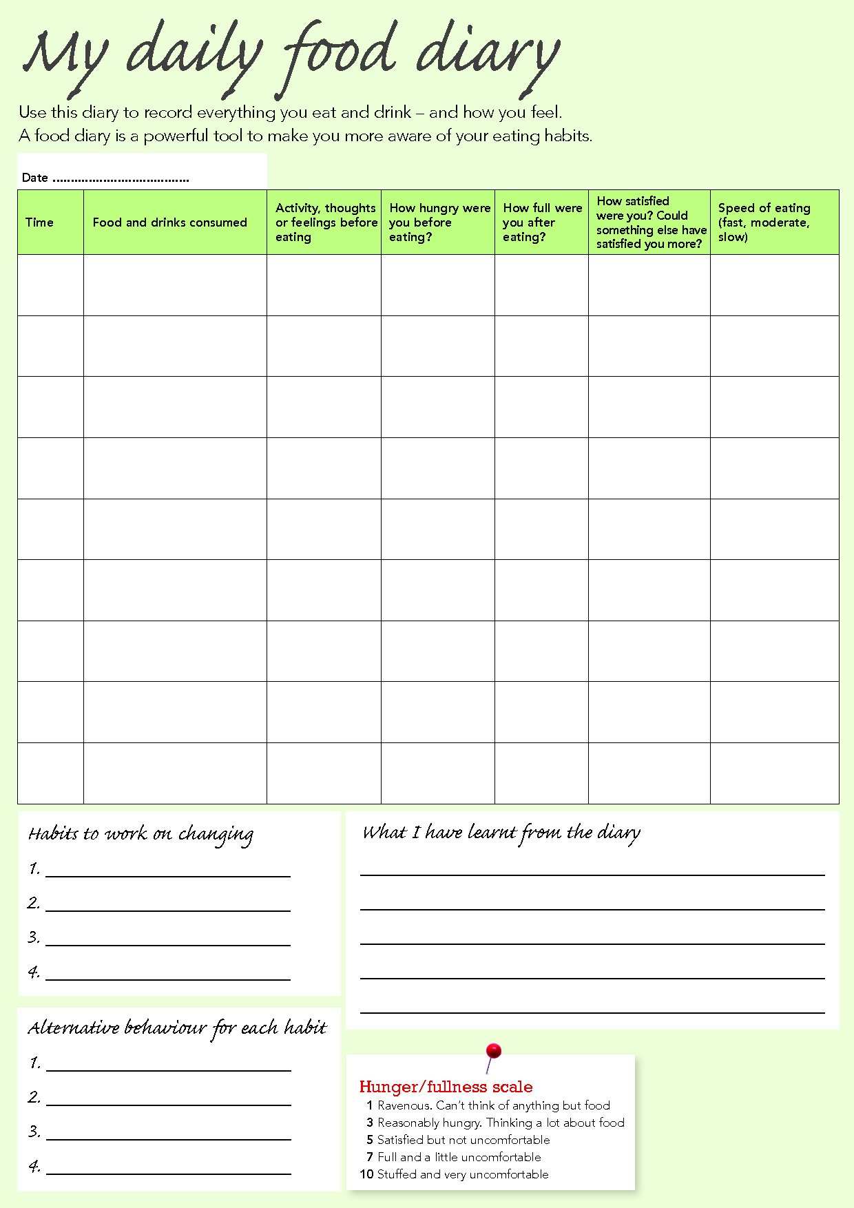 Daily Meal Journal Example