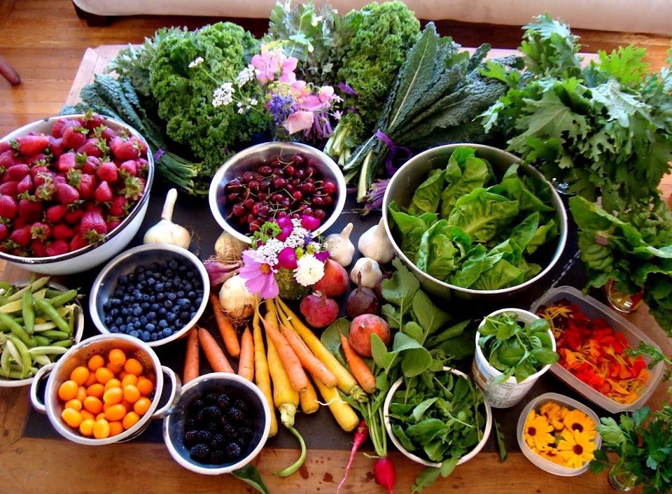 Food for Life Nancy Guberti, M.S., C.N.